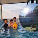 팡팡애견 | 가평독채펜션 가평키즈풀빌라 가평애견동반키즈펜션 가평 팡팡키즈풀빌라