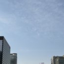취미생활 만들기 2 : 첫 하프 후기