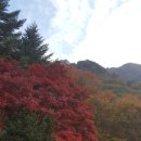 가을여행 이미지