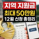 괴산어린이집 | 지역 지원금 최대 50만 원! 순천·괴산·도봉 등 12월 신청 총정리