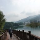 원주굽이길 4코스 꽃양귀비길 이미지