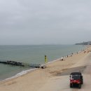 대천해수욕장 야영장 이미지