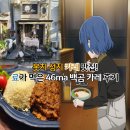 카레이블 | 일본 카레 맛집 46ma 백곰카레 후기/애니 봇치더락 성지