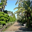 별빛두방울 이미지