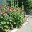 인흥농장 이미지