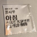 콩시루 | 콩시루 견생 첫 대수술 &#39;중성화 수술&#39; 후기💉 — 세상 가장 용감했던 3주일 기록