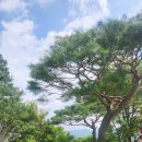 1박2일민박 이미지