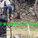 대우자동차 명지 이미지