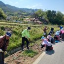은하면 중가마을회관 | 하이디 원예수업 무주 적상면 중가마을 꽃식재했어요 /마을원예치료