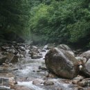 그린농원민박 이미지