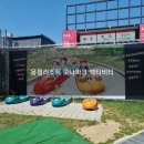 용평리조트 아이랑 함께 액티비티 - 마운틴코스터, 루지, 공룡해양랜드