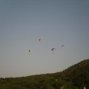 종길 Daum카페