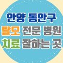 비산3동-1 | 안양 동안구 탈모 전문 병원 두피 탈모관리 잘하는 곳 추천 List