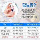 🍊장 건강에 좋은 아티초크 효능🍊 이미지