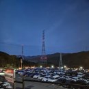 네코모리 | 경기도 니지모리스튜디오 가을 가볼만한곳 축제 정보 가격 분위기 즐길거리 정리