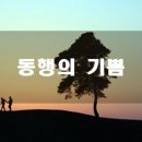 동행 이미지