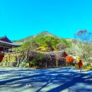 보석사 이미지
