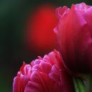 의료법인 수연 의료재단 이미지