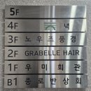 종로1~4가동 | [종로] 보신각 뷰가 예술인 '그라벨르헤어 종로점' 엄마 히피펌 대성공 후기