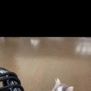 아이조아요양보호소 동탄점 이미지