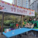 공터서적 이미지