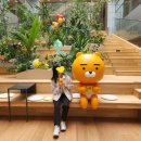 [인턴] 카카오엔터프라이즈 회고 및 후기