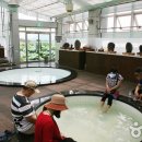 회산백련지 수상유리온실 이미지