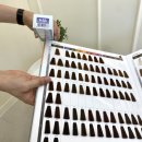 울산 남구 신정동 미용실 추천 염색 컷트 잘하는 옥동 .시월헤어.