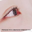 모티끄눈썹&속눈썹