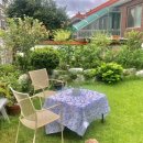 잡고굽고 이미지