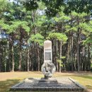 탄금공원 (탄금대로 방향) 이미지