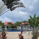 대천해수욕장그린펜션 | 보홀 그린망고리조트