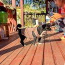 두식이펜션 이미지