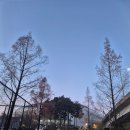 아카펠라 그룹 <제니스 콘서트> | [공연] 브라운아이드소울 콘서트 후기 251224