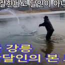 ﻿강릉 염전해변 투망 달인, 정말 멋져부러요!! 이미지