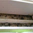 추사로55번길 이미지