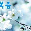 믿음 Daum카페