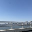 (주)별다섯 | 나의 결혼 일지 part4. | 남산 한남 웨딩가든 시식 후기