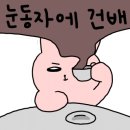 다운애견 이미지