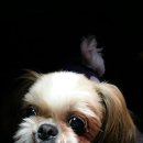 광탄면 삼거리 이미지