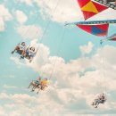 보라 행정사 사무소 이미지