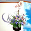 에벤에셀 이미지