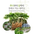 산골짜기농장 이미지