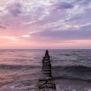 못난이찜 이미지