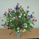 밀드플레 이미지