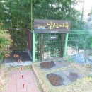 해파랑길 7코스 이미지