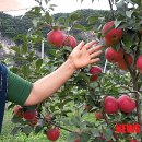 제장농장 이미지