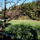 구덕야영장 이미지