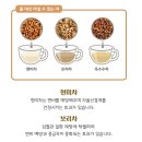 물대신 마셔도 되는 차 TEA & 물대신 마시면 안되는 차 TEA 이미지