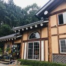 여우골옻닭 이미지